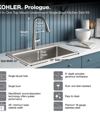 Kohler Pro-Function Sink