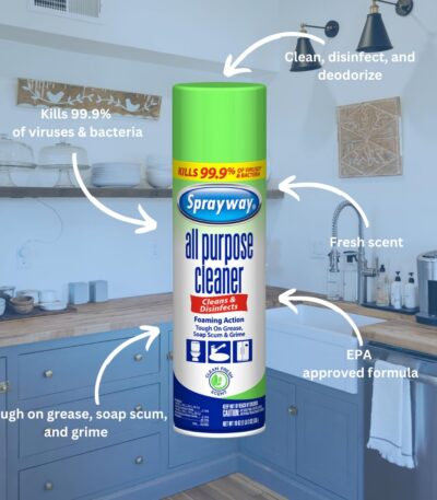 Sprayway All Purpose Disinfectant Cleaner, Foaming Action 19 oz