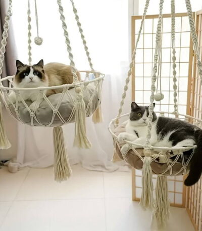 SmartyKat Fringed Honeycomb One Size Convertible Cat Bed