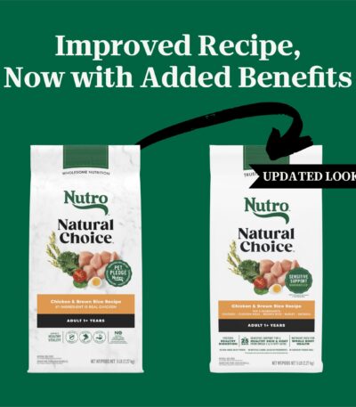 Nutro Natural Choice Chicken and Brown Rice Recipe Adult Dry Dog Food