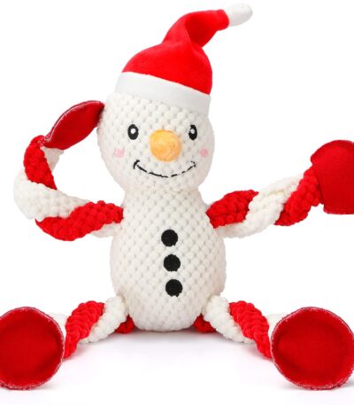 Snowman Dog Toys