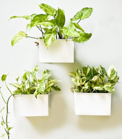 Wall Planter 3-Pack
