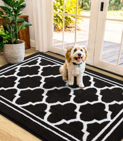 Indoor Door Mat Black