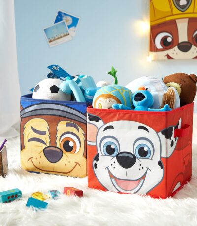 Paw Patrol 2 pc Storage Cubes