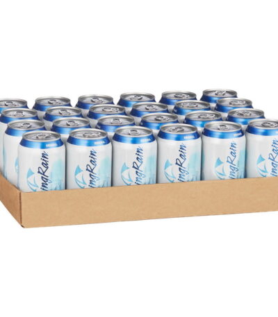Talking Rain Sparkling Lemon Lime 12 oz