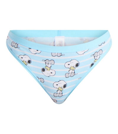 Peanuts Women's Be Happy 3-Pack Hipster Underwear, Charcoal Heather, Medium