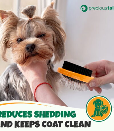 Precious Tails Advanced 2-in-1 Pet Grooming Brush for Dogs & Cats